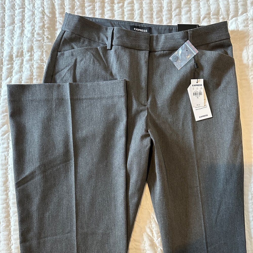 NWT Express size 10 Long, editor pant, gray